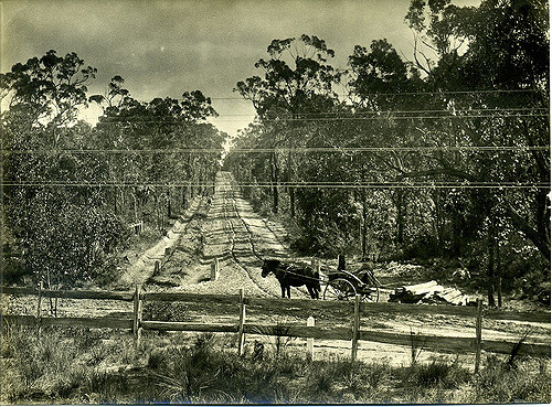 Hare Street, Glenbrook | by Blue Mountains Local Studies
